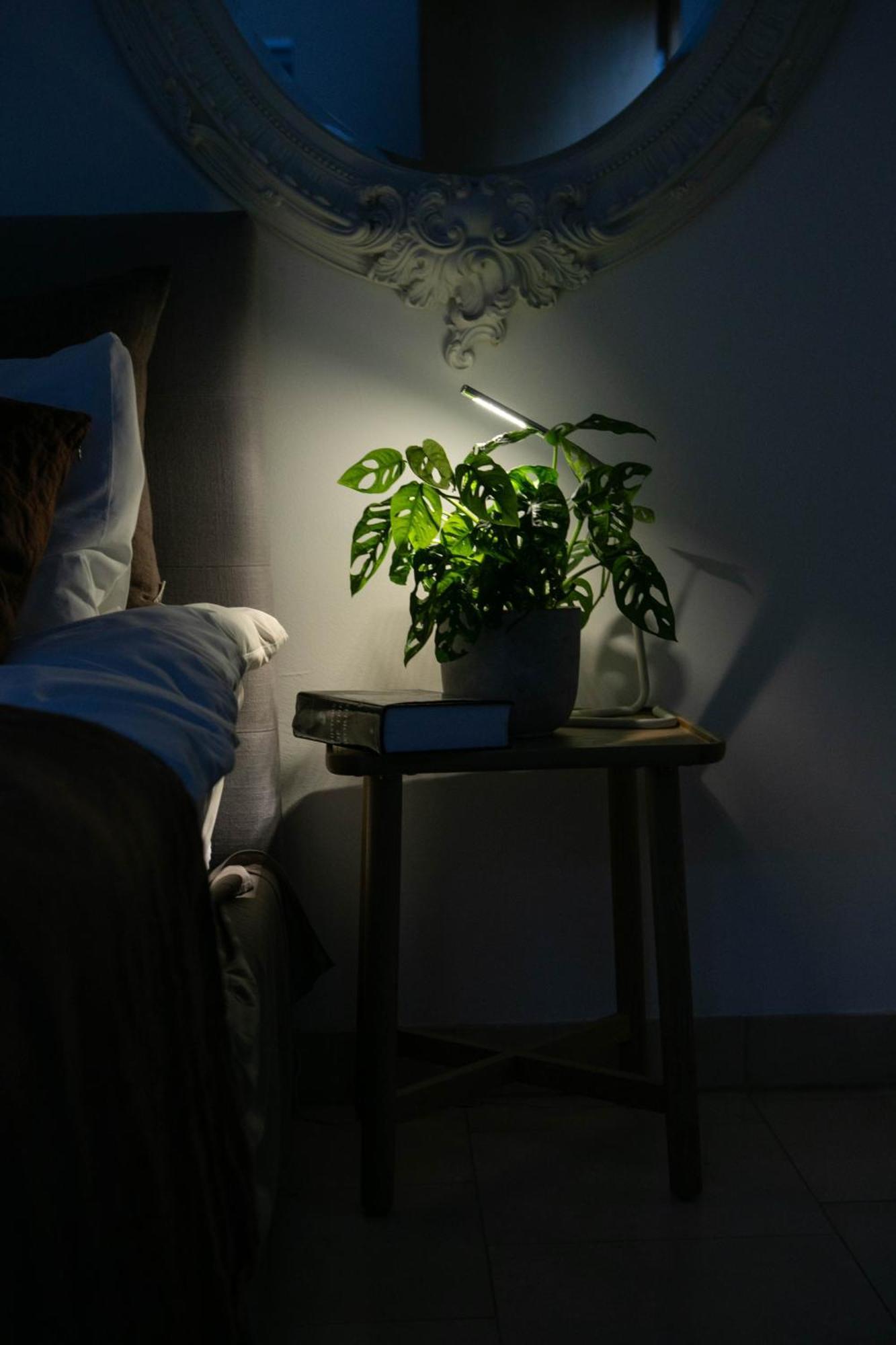The Luxury Hotel Londra